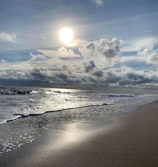 Sandy Paws *